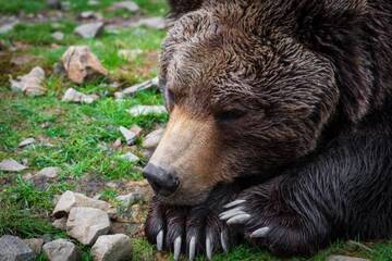 Фото номера Дом с 2 спальнями Дома для отпуска Kotedzh Smereka г. Kelechin 12