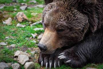 Фото номера Дом с 2 спальнями Дома для отпуска Kotedzh Smereka г. Kelechin 30